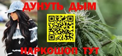 мдпв Гатчина