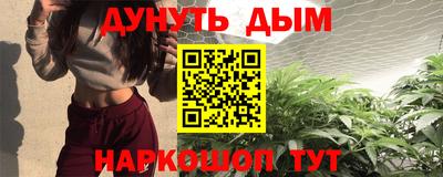 мдпв Гатчина
