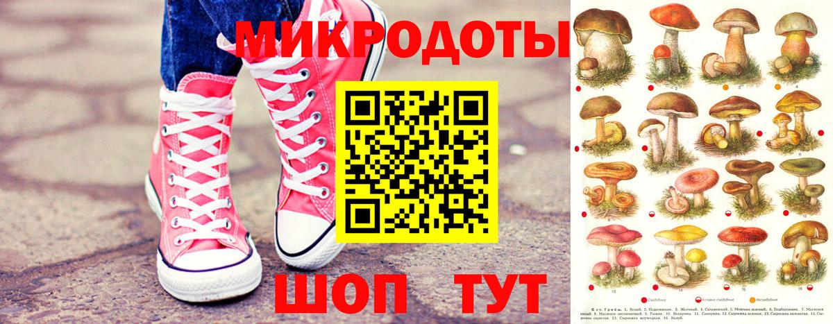 Кулебаки  Псилоцибиновые грибы мицелий  закладки  Вход с VPN 